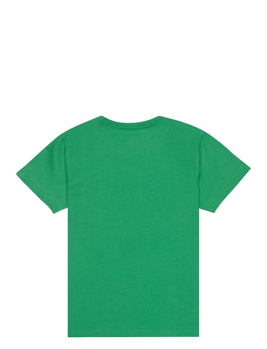 Quiksilver - EV HUMAN WAVE SS BOY - kurzärmelige - leprechaun - 1
