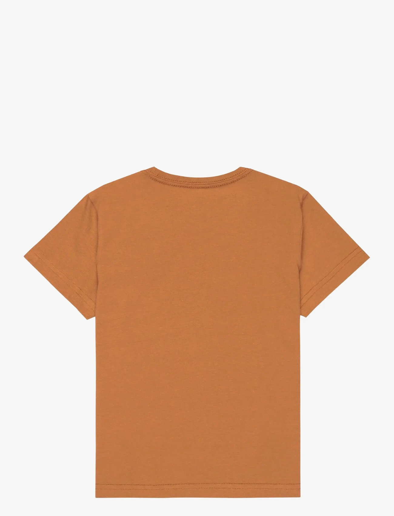Quiksilver - EV HUMAN WAVE SS BOY - kortærmede t-shirts - tobacco brown - 1