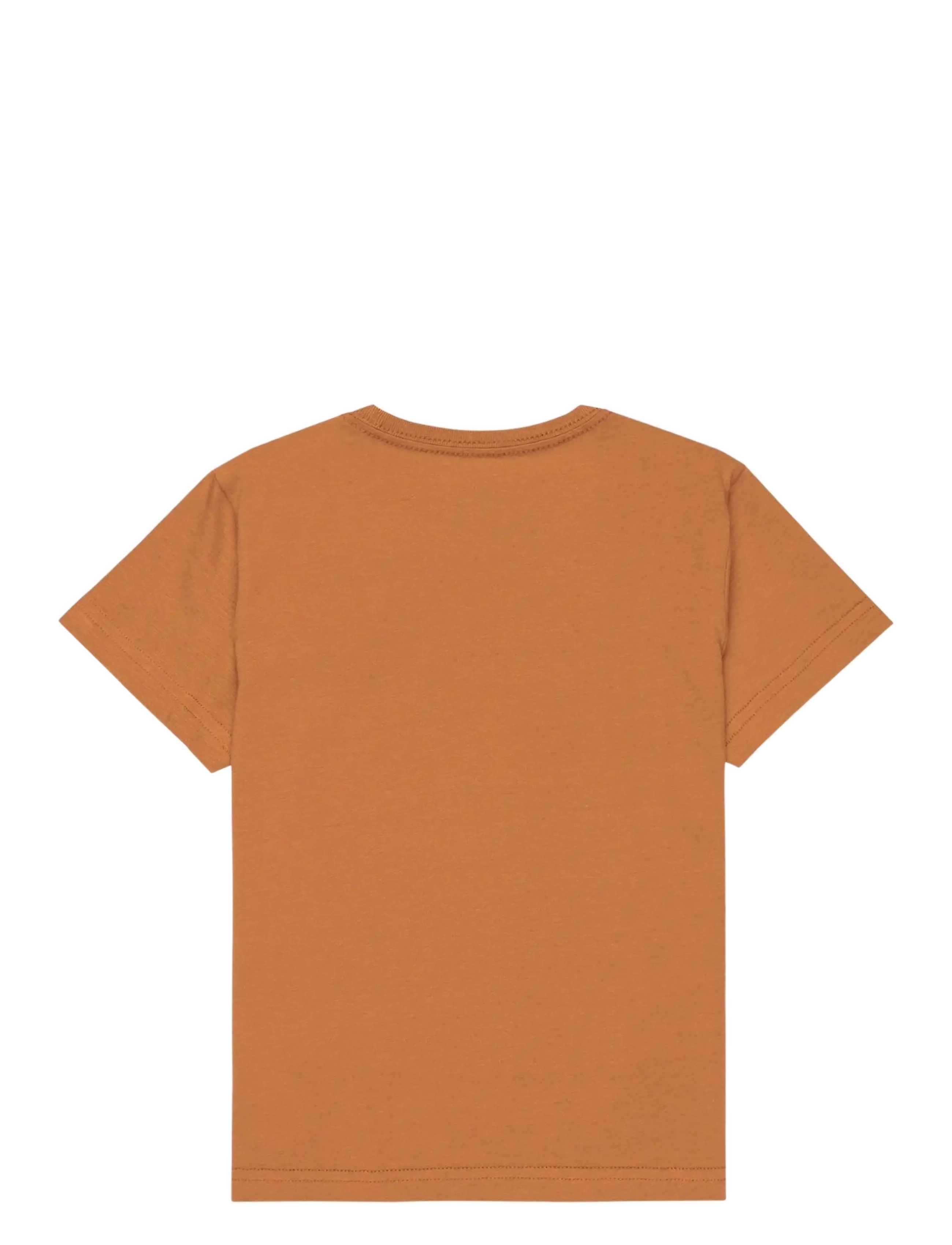 Quiksilver - EV HUMAN WAVE SS BOY - lühikeste varrukatega t-särgid - tobacco brown - 1
