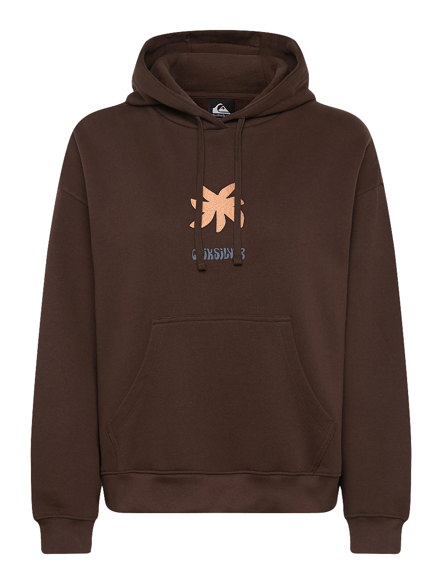 Quiksilver - STANDARD HOODIE - overdele - chocolate brown - 1