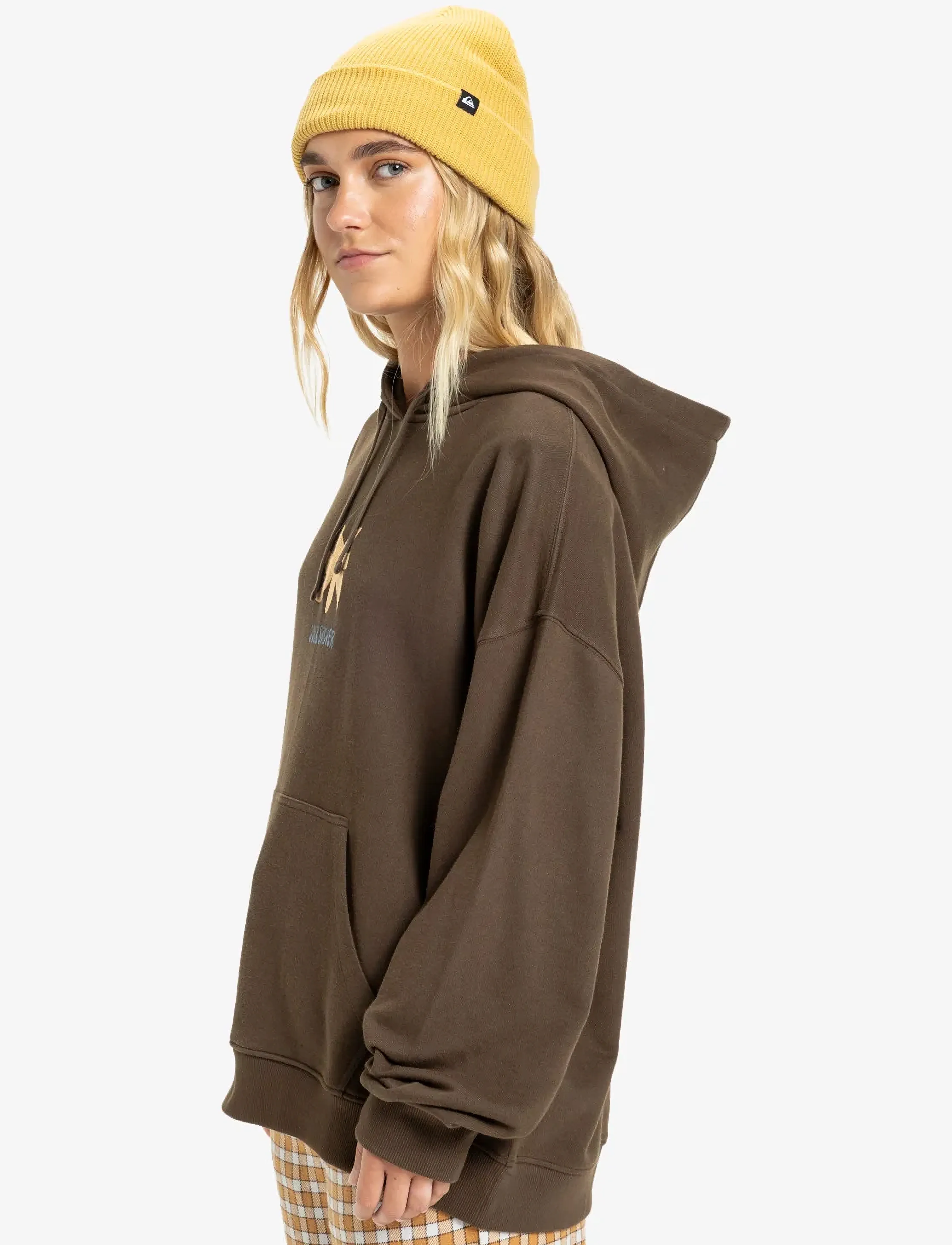 Quiksilver - STANDARD HOODIE - bluzy i bluzy z kapturem - chocolate brown - 5