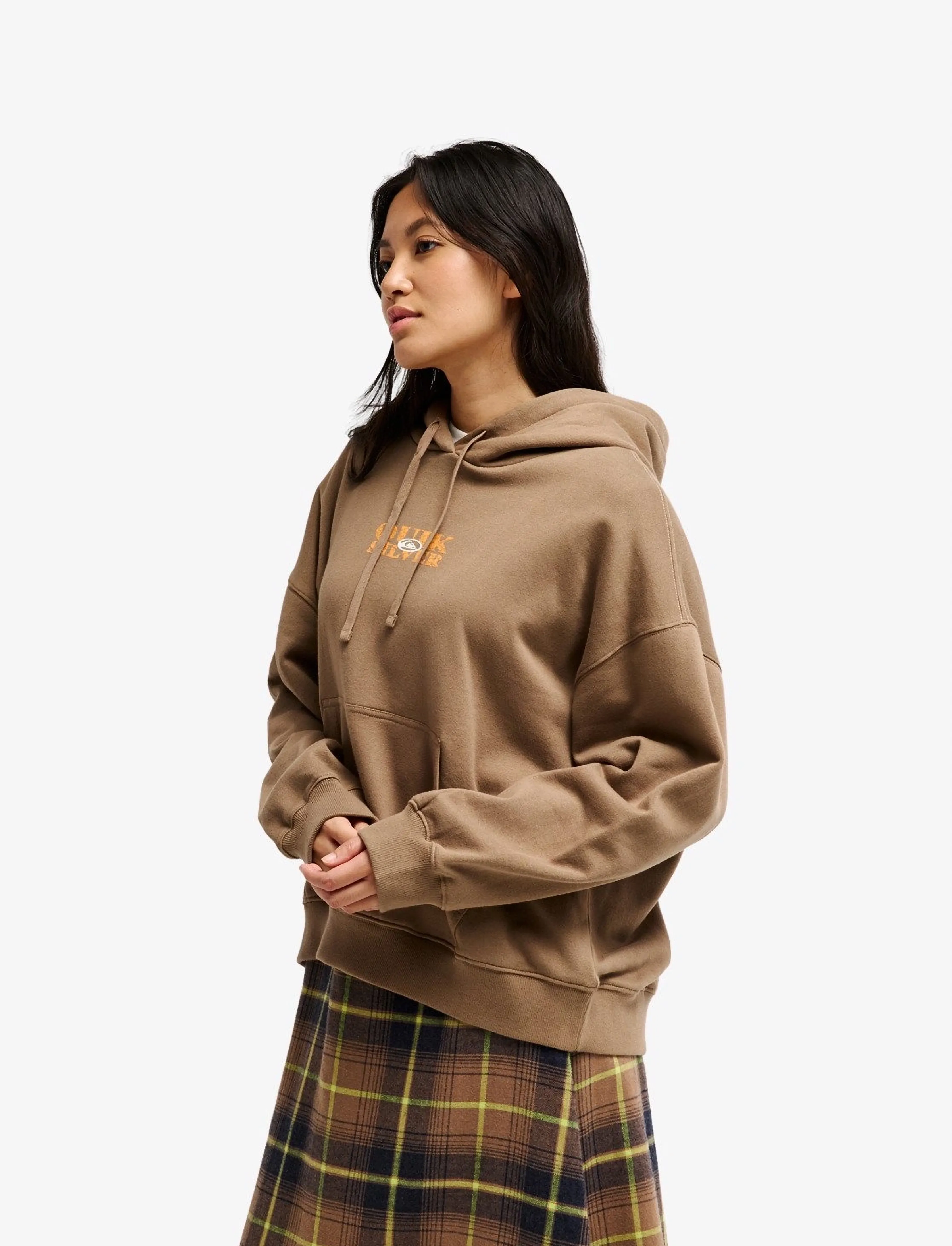 Quiksilver - STANDARD HOODIE - huvtröjor - pine bark - 5