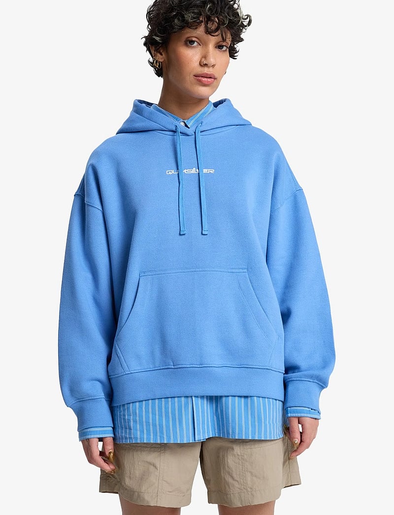 Quiksilver - STANDARD HOODIE - tops - riviera - 0