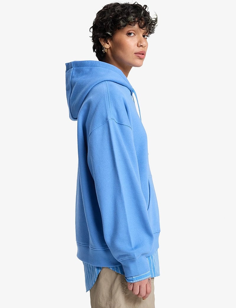 Quiksilver - STANDARD HOODIE - tops - riviera - 5