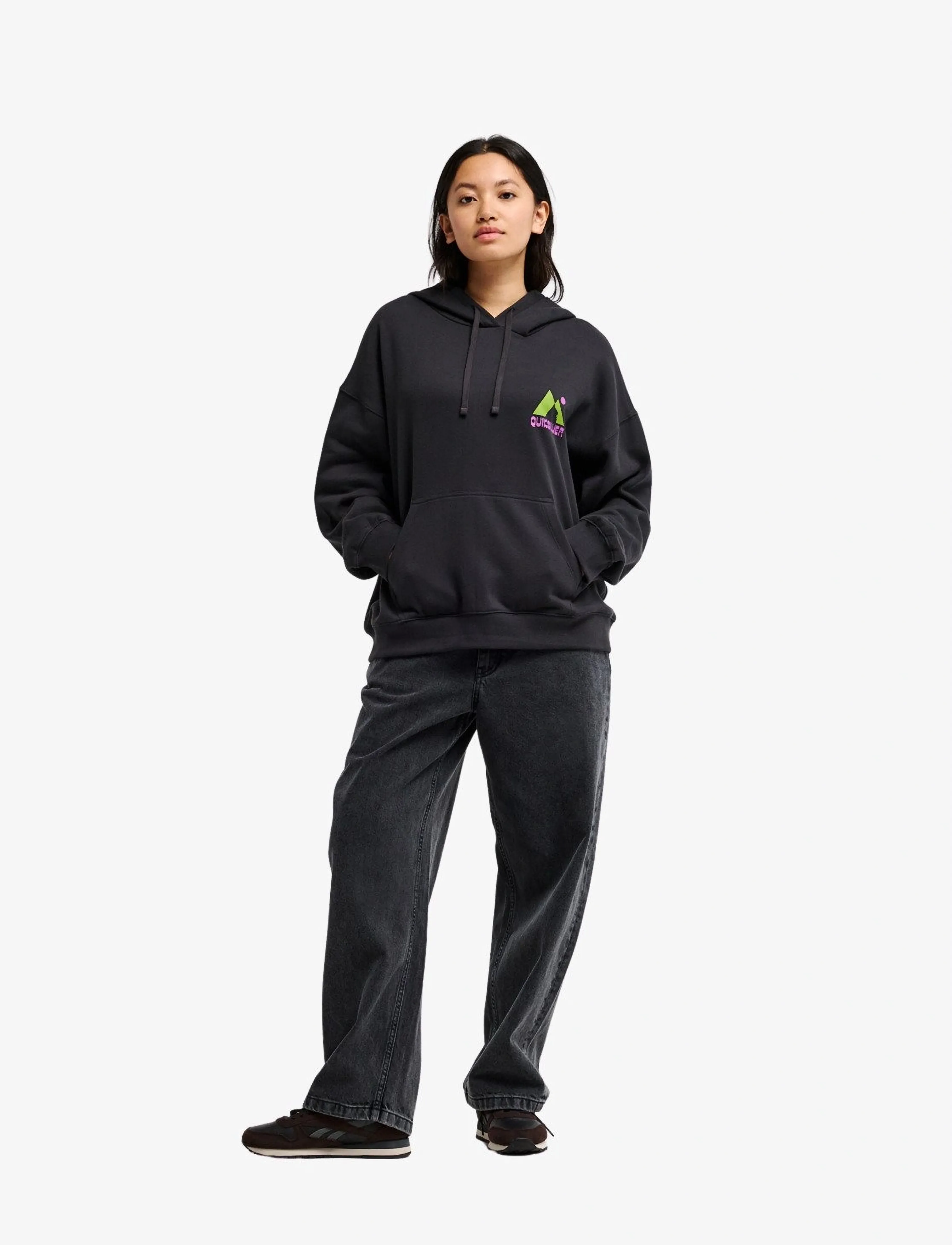 Quiksilver - STANDARD HOODIE - sweatshirts - tarmac - 3