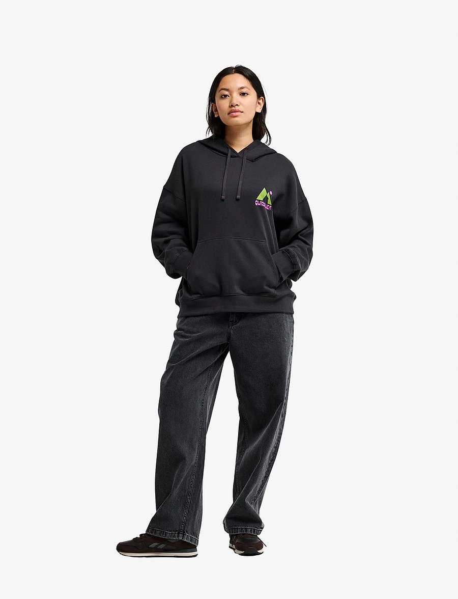Quiksilver - STANDARD HOODIE - sweatshirts - tarmac - 3