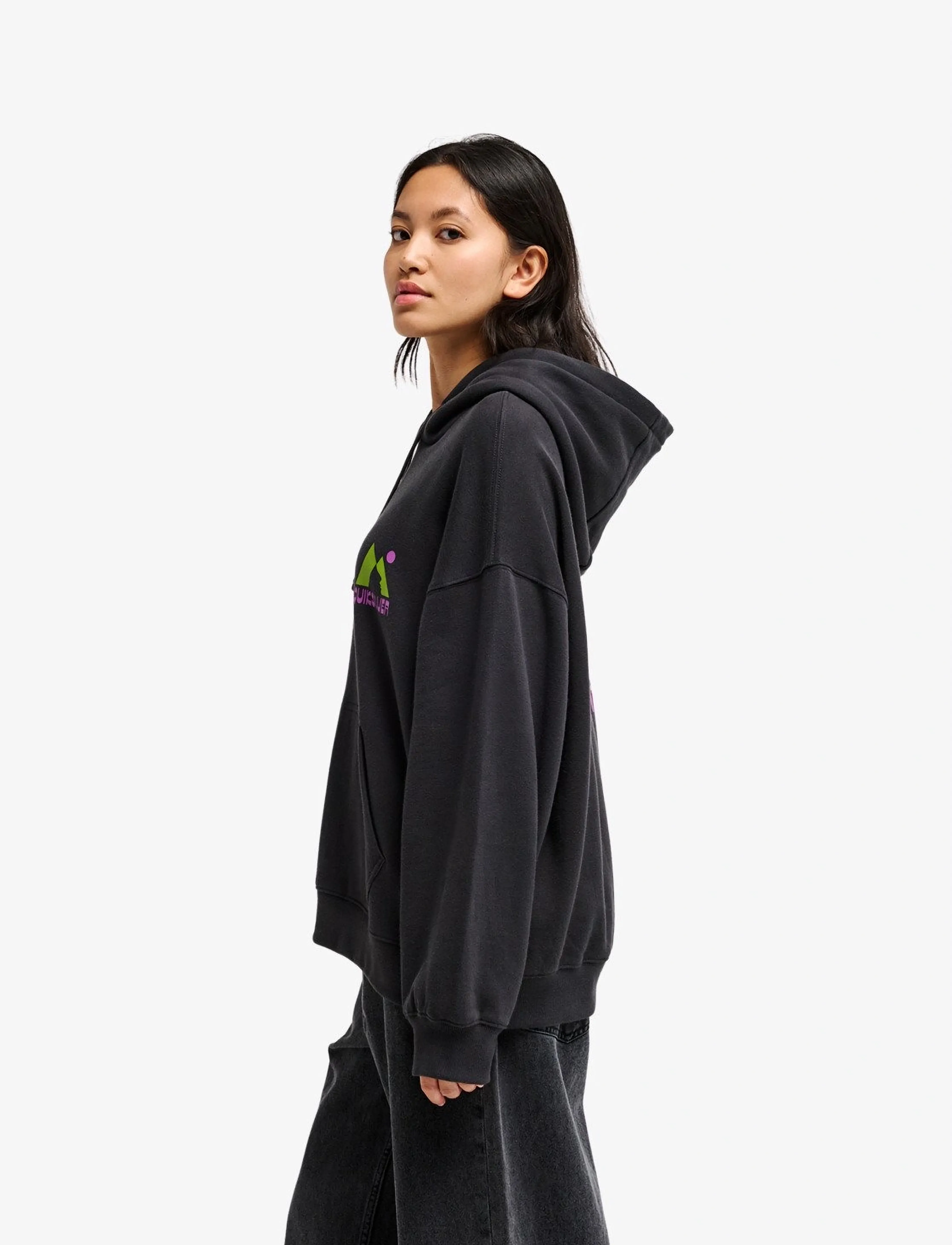 Quiksilver - STANDARD HOODIE - sweatshirts - tarmac - 4
