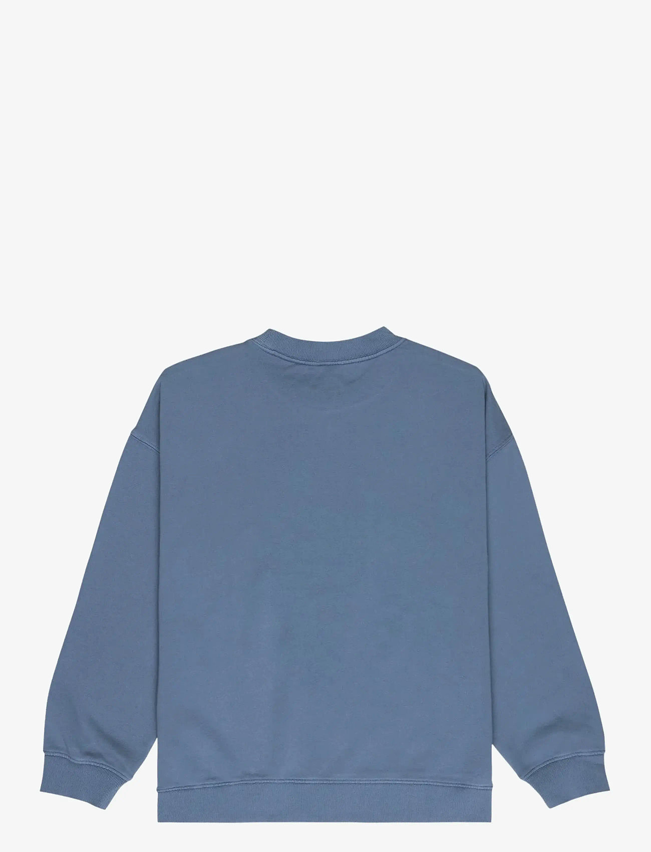 Quiksilver - ESSENTIAL CREW - sweatshirts - china blue - 1