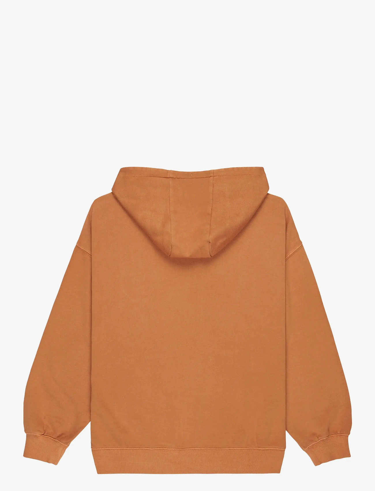 Quiksilver - ESSENTIAL HOODIE - overdele - almond - 1