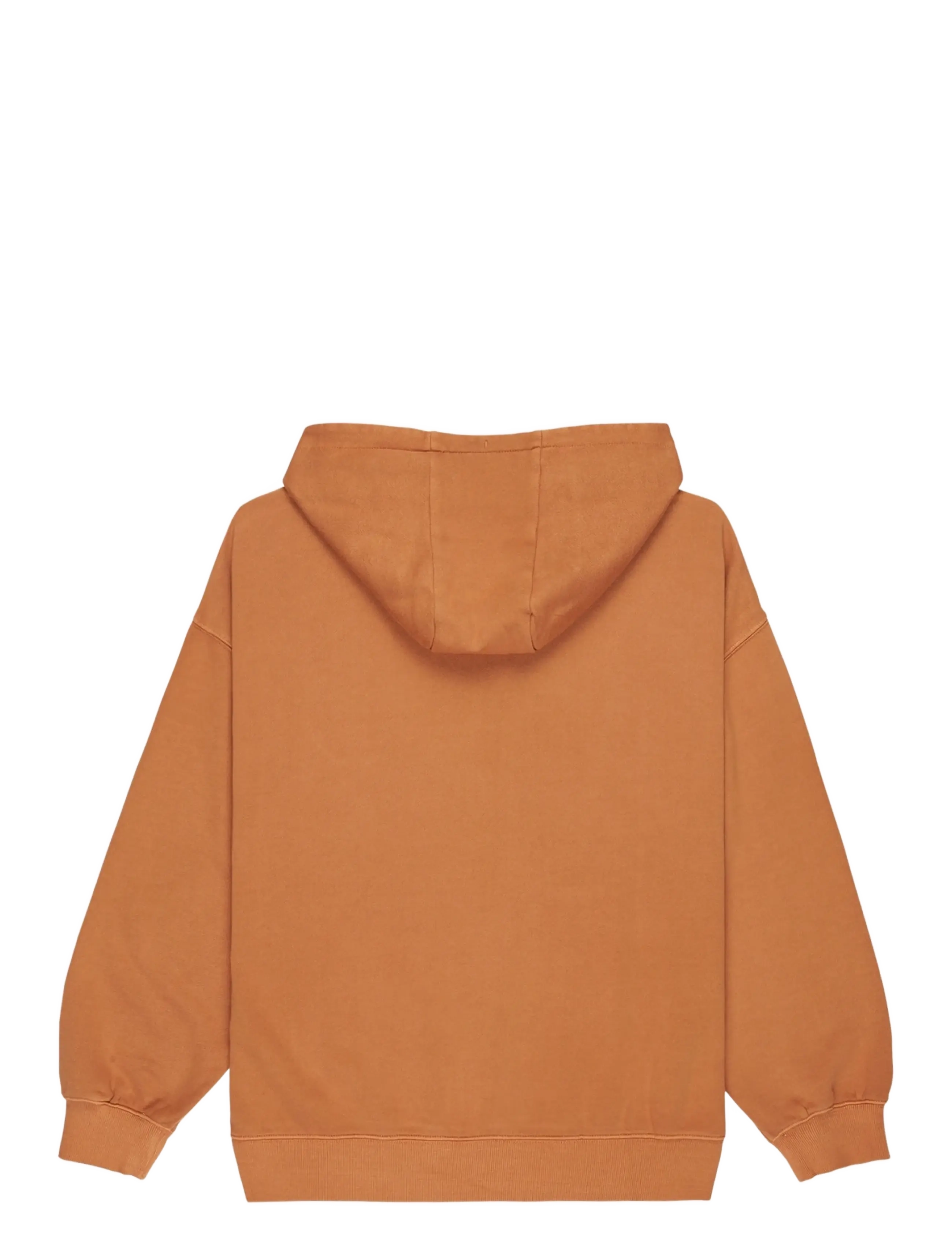 Quiksilver - ESSENTIAL HOODIE - tops - almond - 1