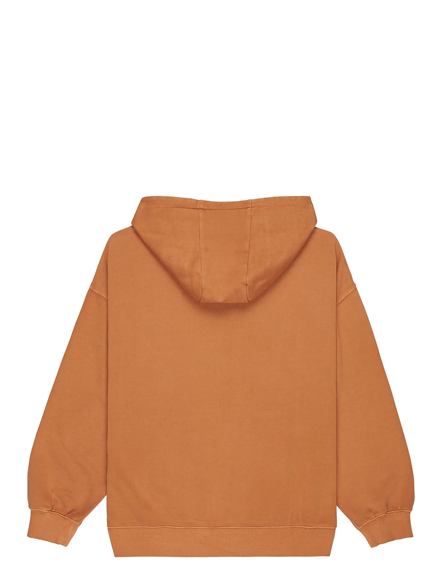 Quiksilver - ESSENTIAL HOODIE - yläosat - almond - 1