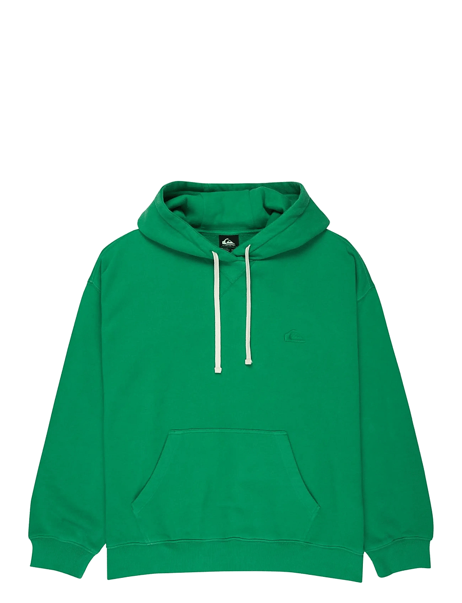 Quiksilver - ESSENTIAL HOODIE - kapuutsiga dressipluusid - leprechaun - 1