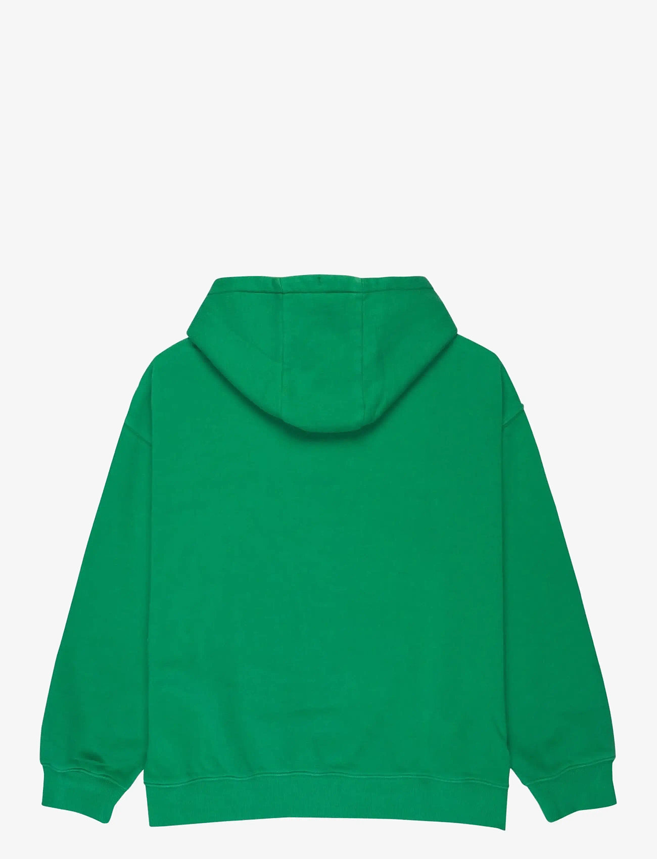 Quiksilver - ESSENTIAL HOODIE - tops - leprechaun - 2