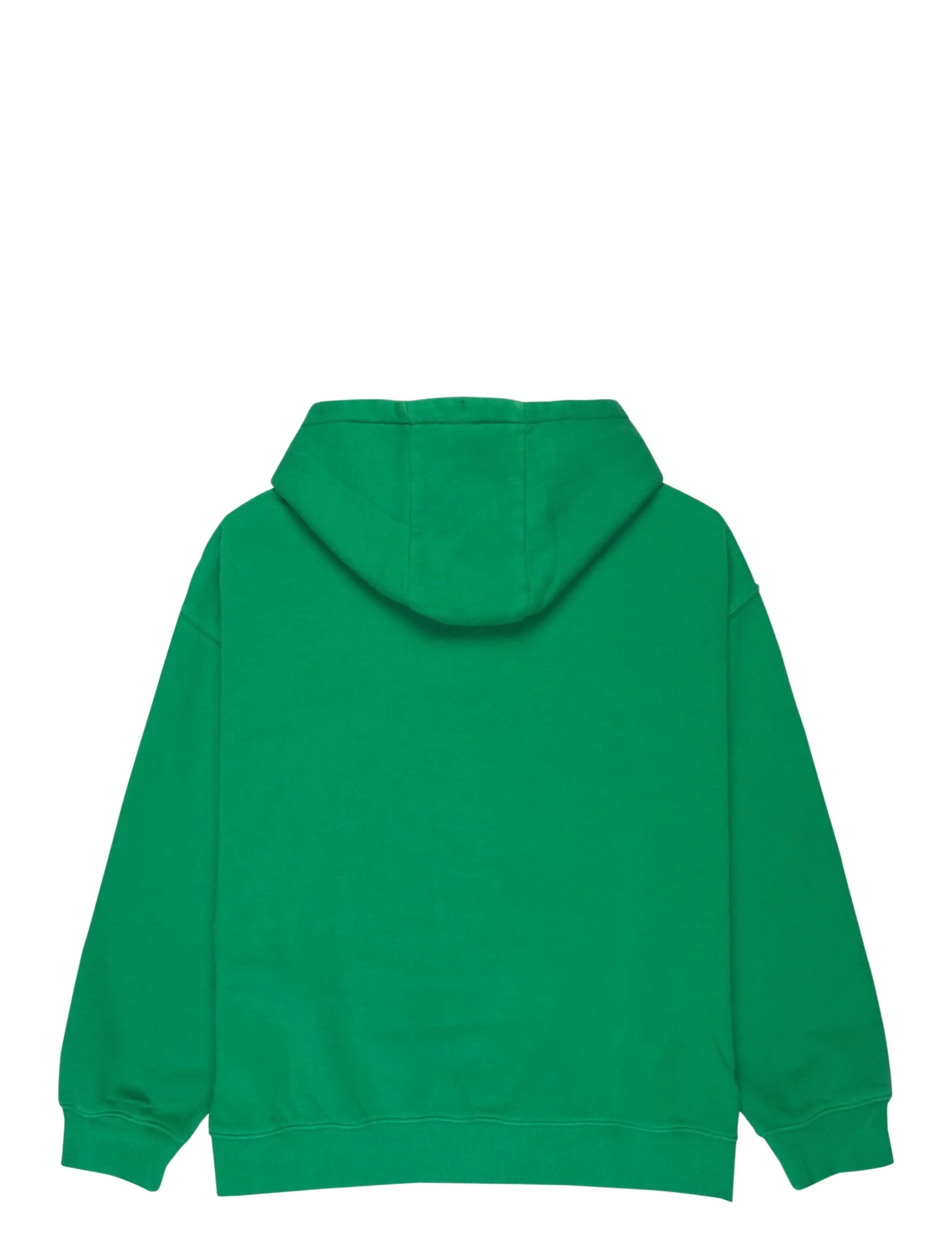 Quiksilver - ESSENTIAL HOODIE - tops - leprechaun - 2