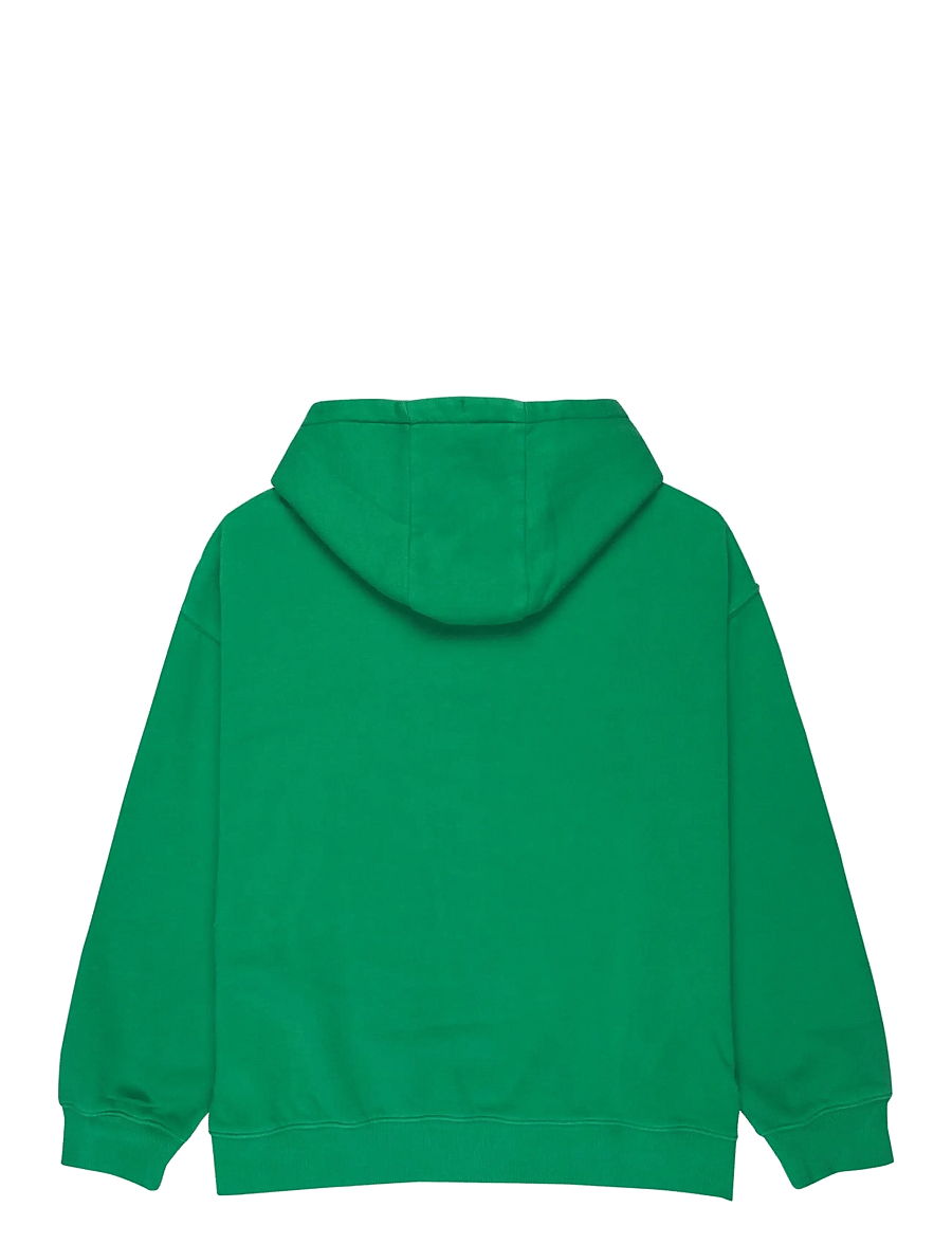 Quiksilver - ESSENTIAL HOODIE - kapuutsiga dressipluusid - leprechaun - 2