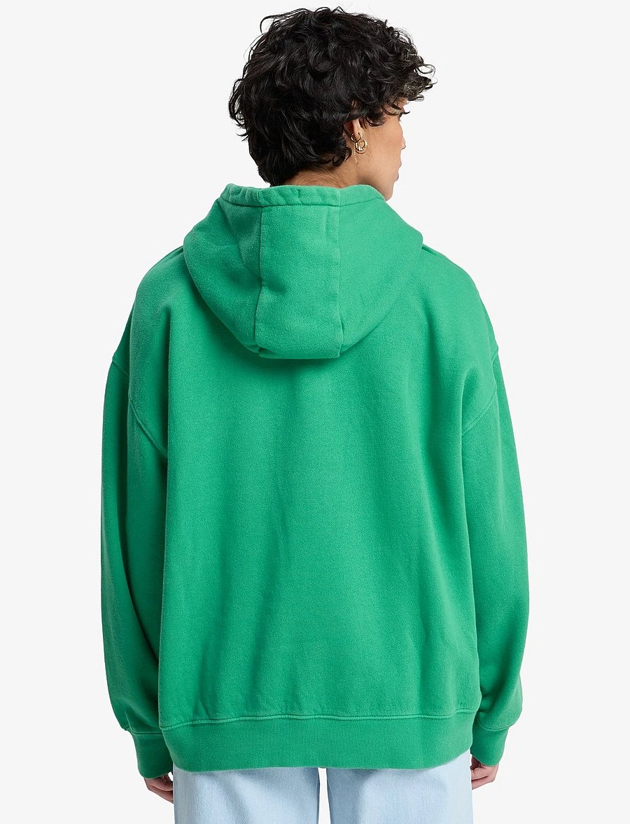 Quiksilver - ESSENTIAL HOODIE - kapuutsiga dressipluusid - leprechaun - 3