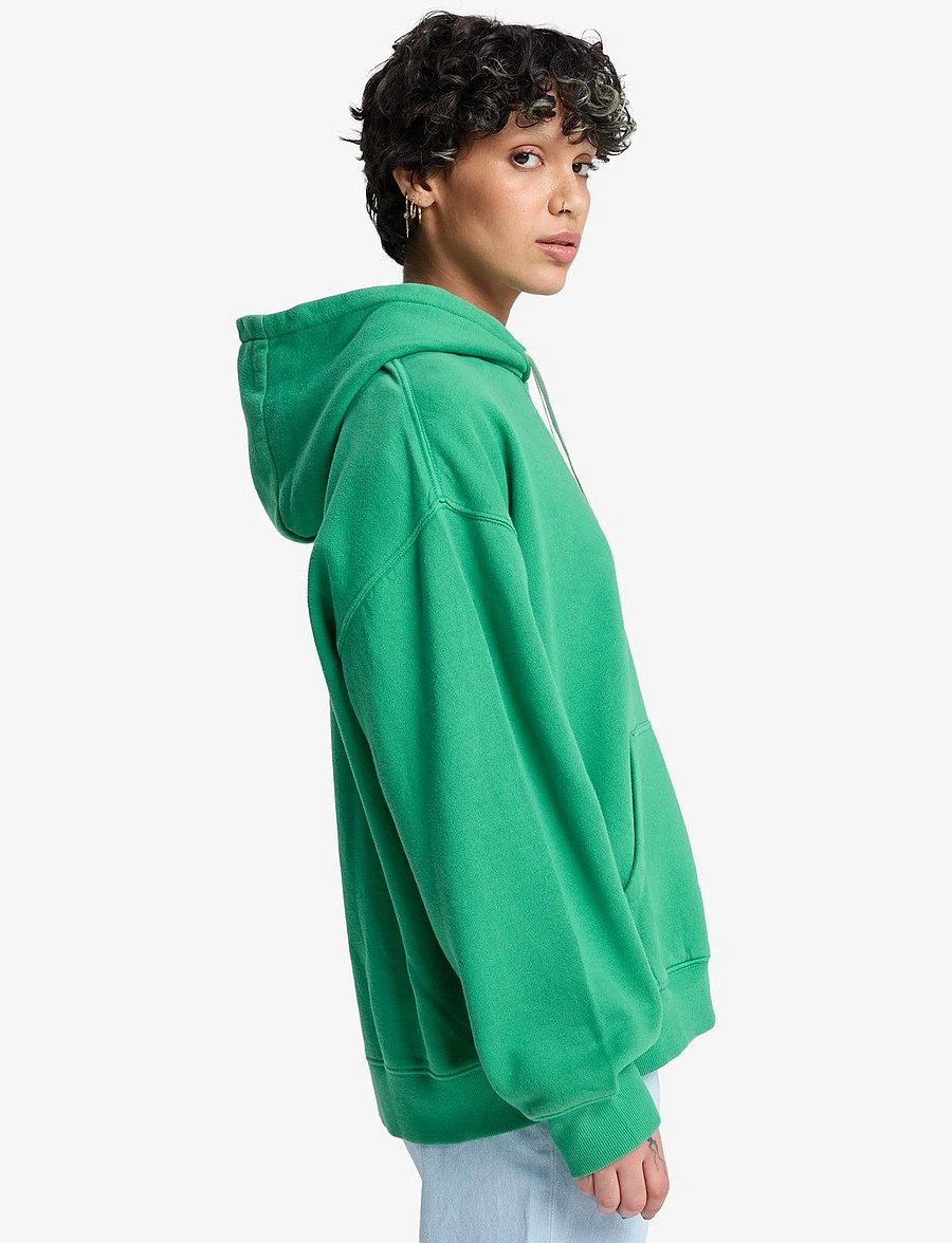 Quiksilver - ESSENTIAL HOODIE - kapuutsiga dressipluusid - leprechaun - 4