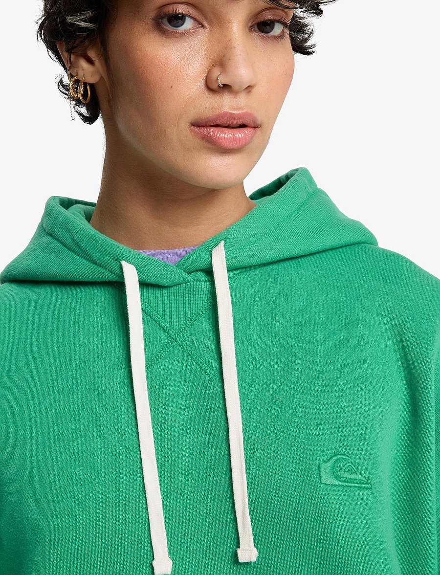 Quiksilver - ESSENTIAL HOODIE - kapuutsiga dressipluusid - leprechaun - 5
