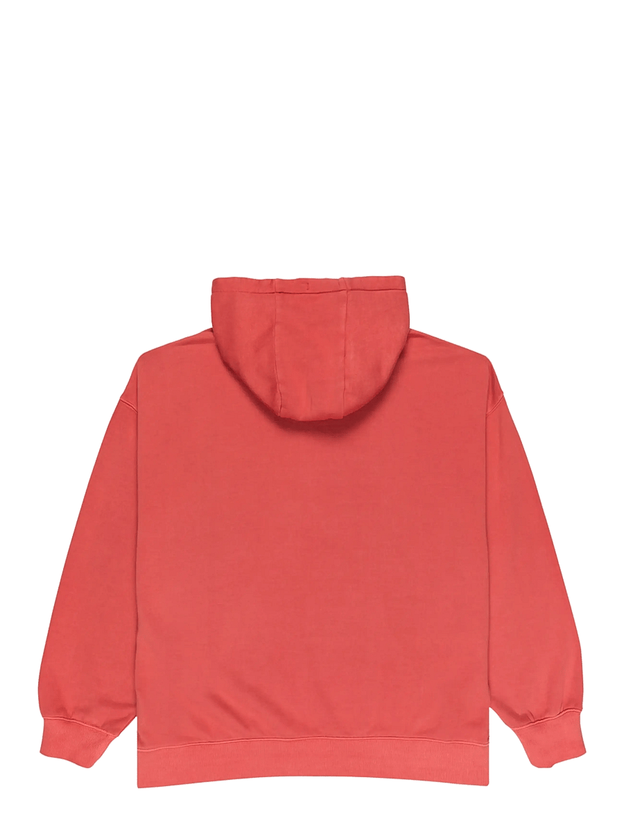 Quiksilver - ESSENTIAL HOODIE - kapuutsiga dressipluusid - mineral red - 2