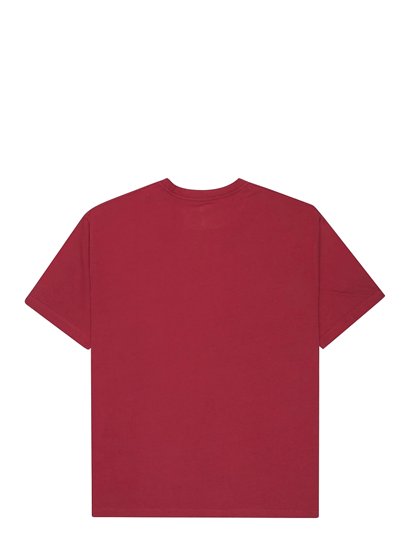 Quiksilver - BOYFRIEND SS - t-shirts - burnt russet - 2