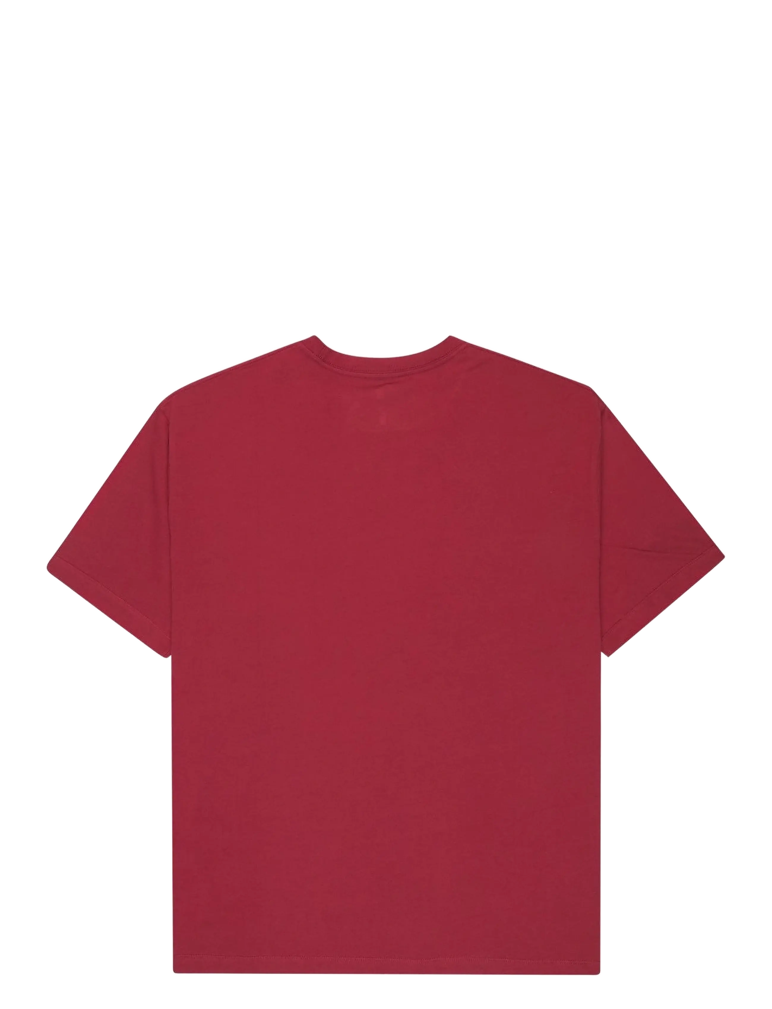 Quiksilver - BOYFRIEND SS - t-shirts - burnt russet - 2
