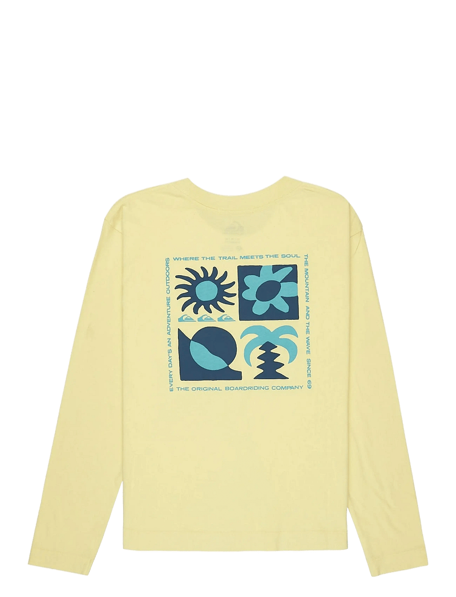 Quiksilver - STANDARD LS TEE - palaidinės ir marškinėliai - garden glade - 2
