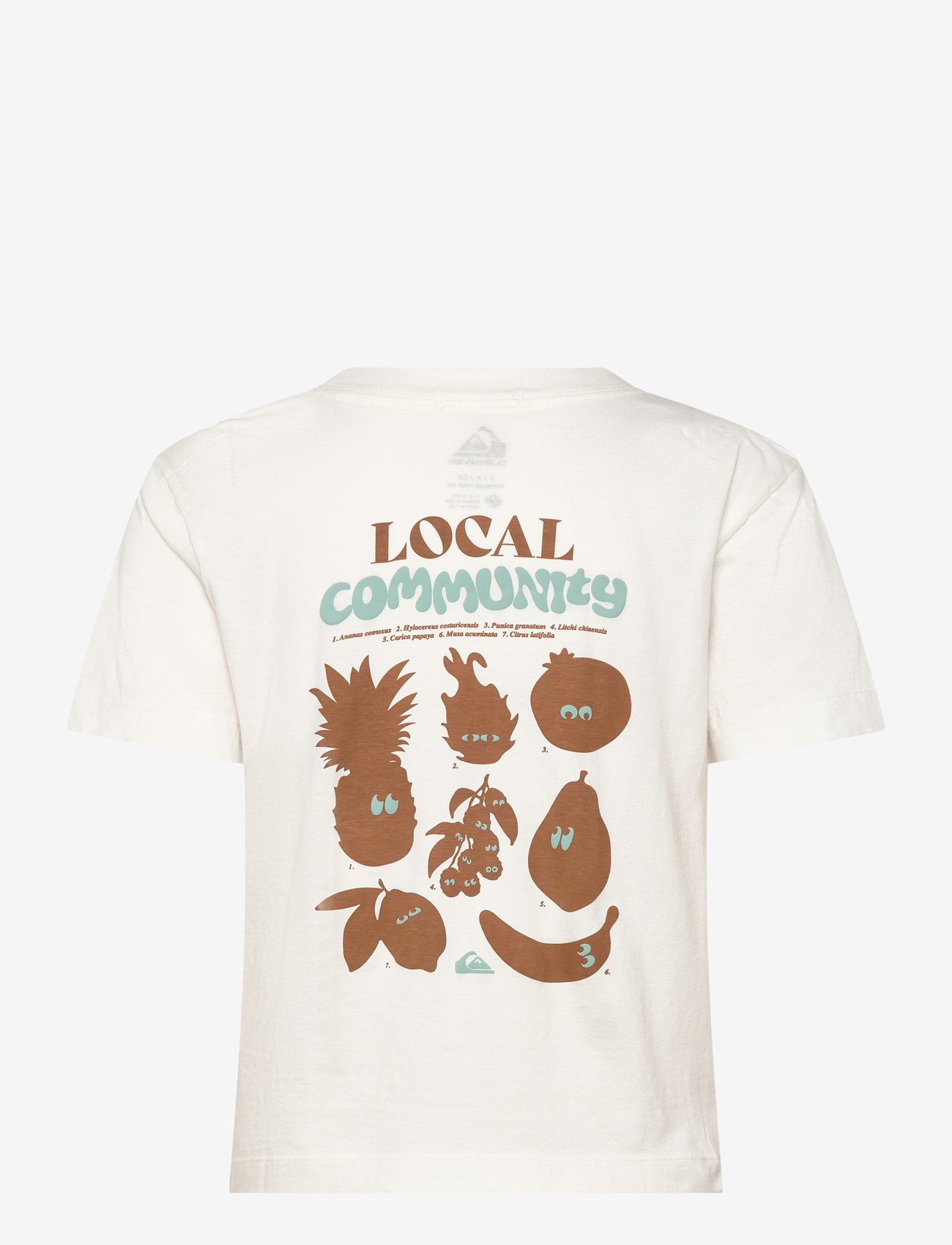 Quiksilver - STANDARD SS TEE - t-shirts - snow white - 1