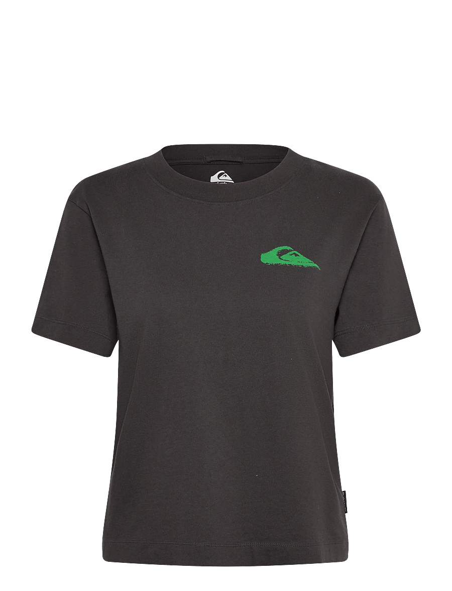 Quiksilver - STANDARD SS TEE - t-shirts - tarmac - 1