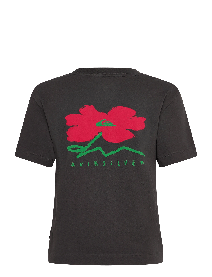 Quiksilver - STANDARD SS TEE - t-shirts - tarmac - 2