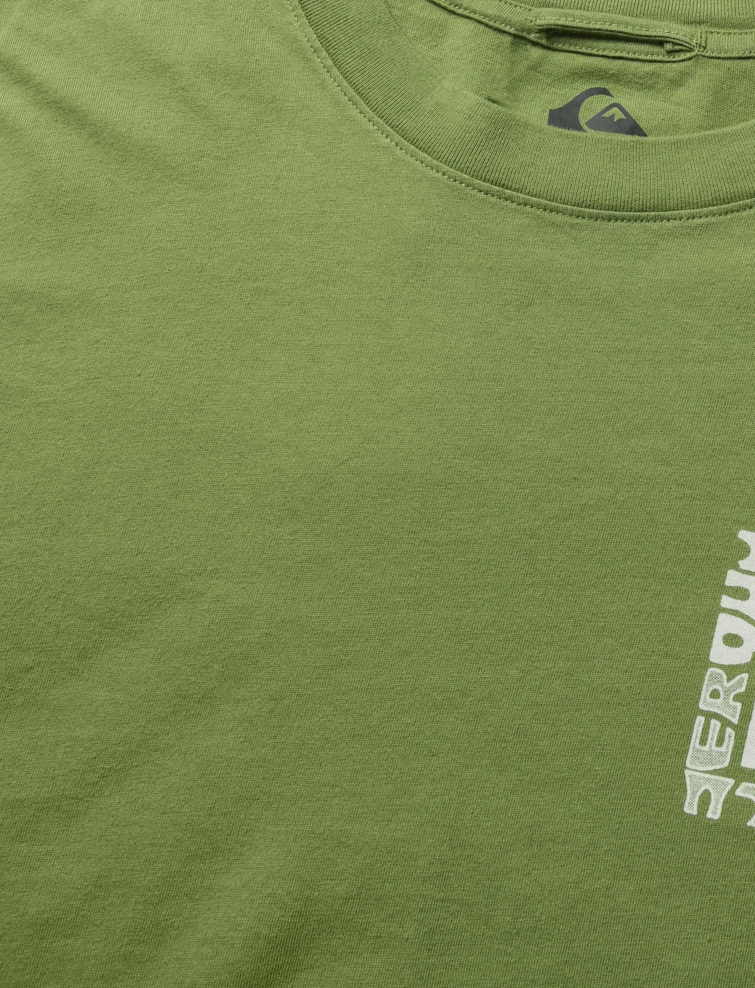 Quiksilver - STANDARD SS TEE - t-shirts - calliste green - 2