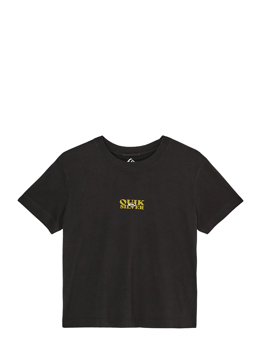 Quiksilver - STANDARD SS TEE - t-shirts - tarmac - 1