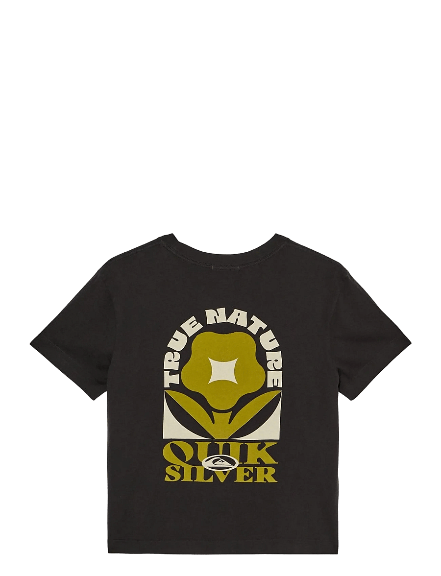 Quiksilver - STANDARD SS TEE - t-shirts - tarmac - 2