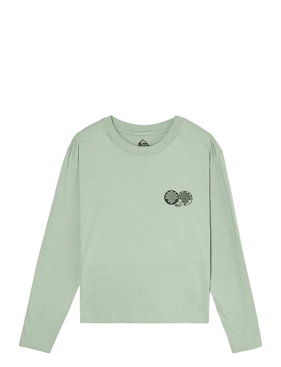 Quiksilver - STANDARD LS TEE - langarmshirts - iceberg green - 1