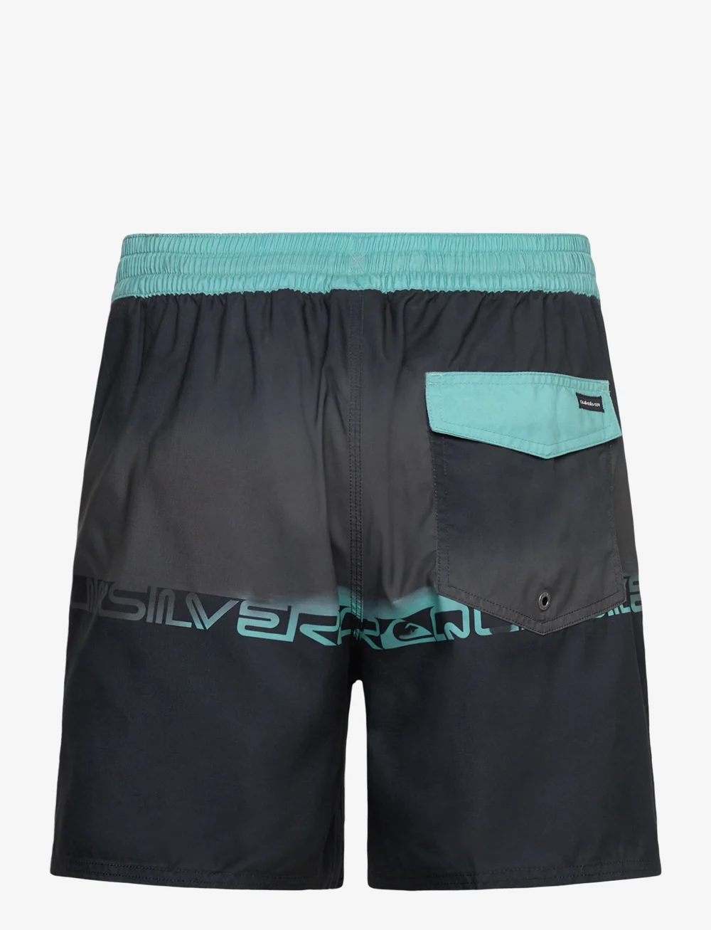Quiksilver - EVERYDAY HALF JAM 16 - lühikesed ujumispüksid - black wordblock - 2