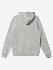 Quiksilver - KELLER HOOD - hoodies - light grey heather - 1