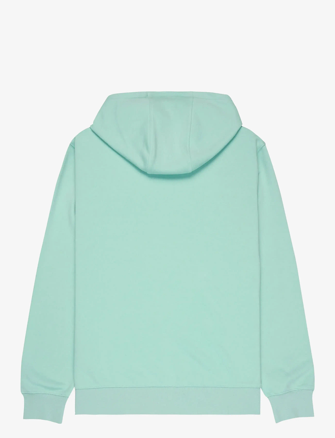 Quiksilver - COMP LOGO HOODIE - hættetrøjer - blue haze - 2