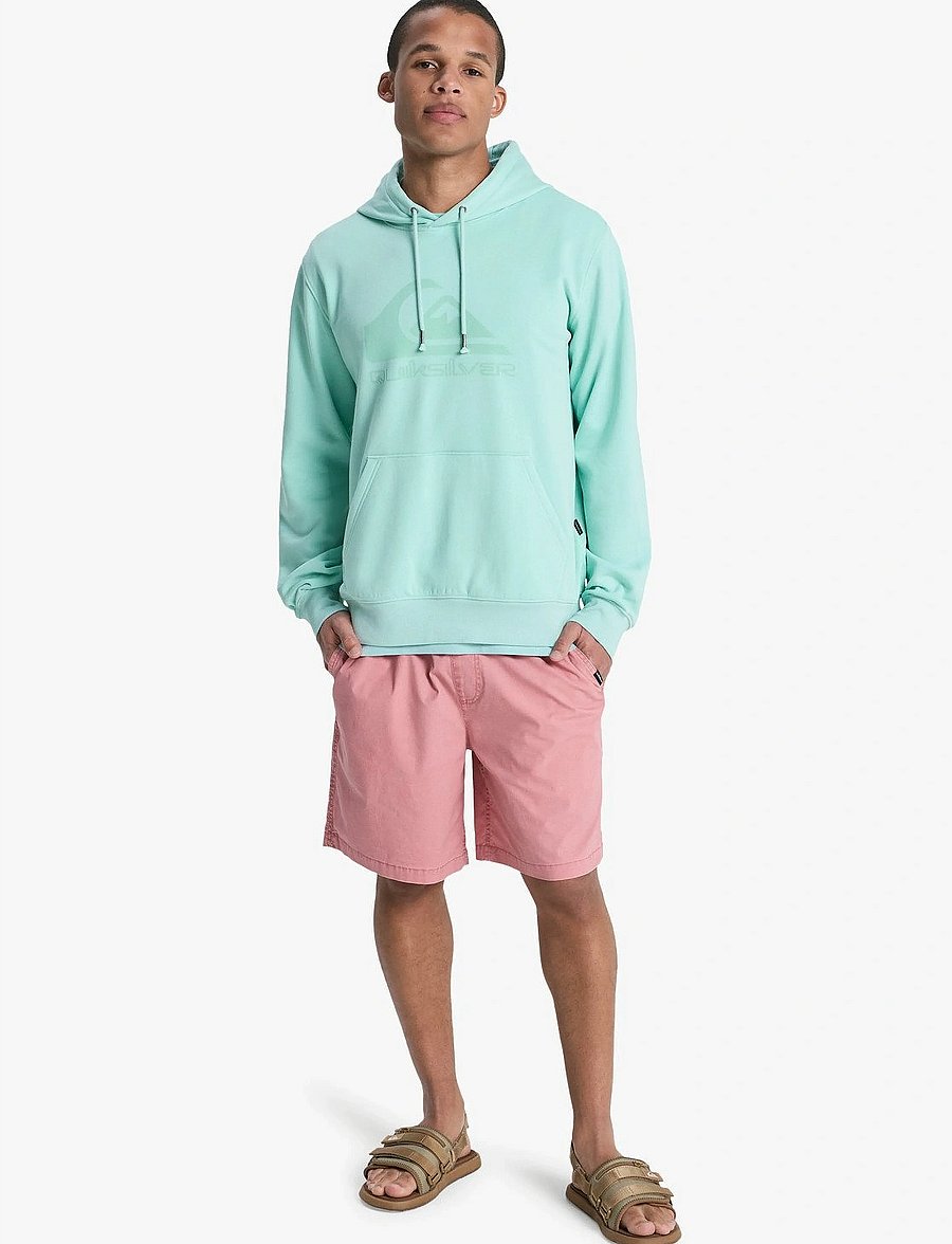 Quiksilver - COMP LOGO HOODIE - overdele - blue haze - 4