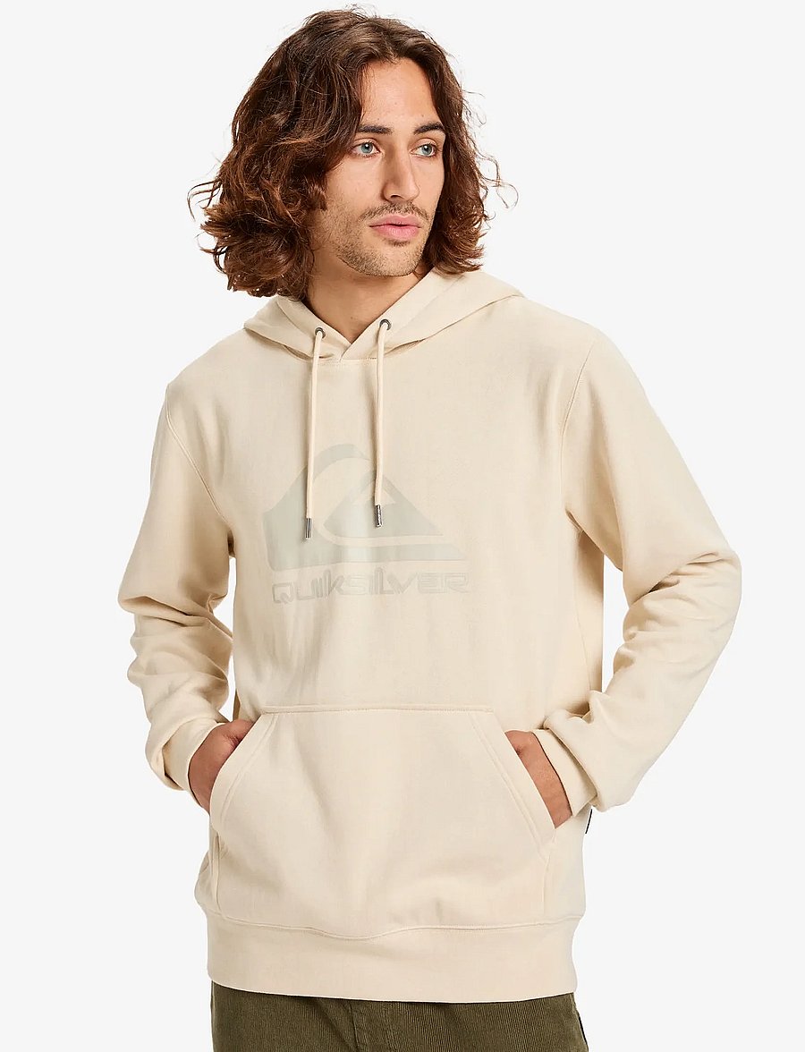 Quiksilver - COMP LOGO HOODIE - huvtröjor - bone white - 0