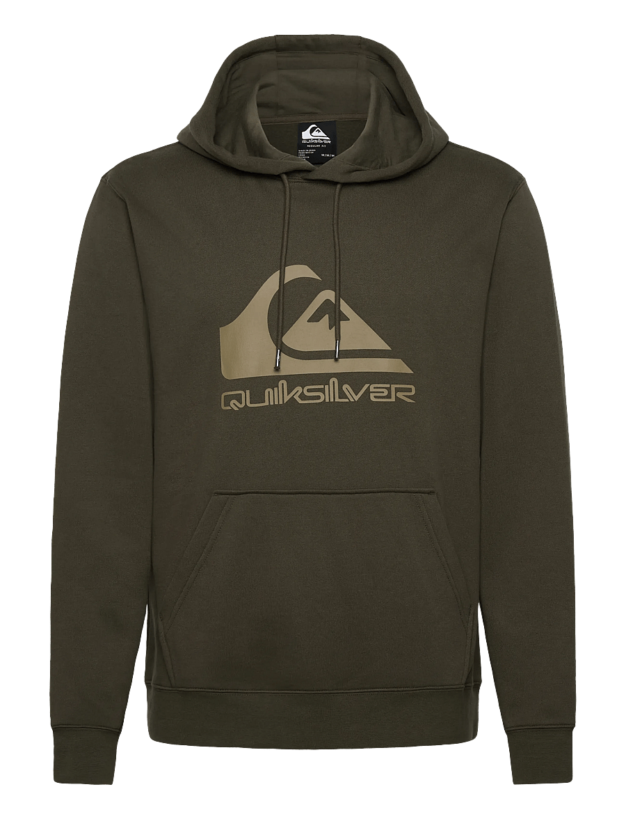 Quiksilver - COMP LOGO HOODIE - huvtröjor - grape leaf - 1