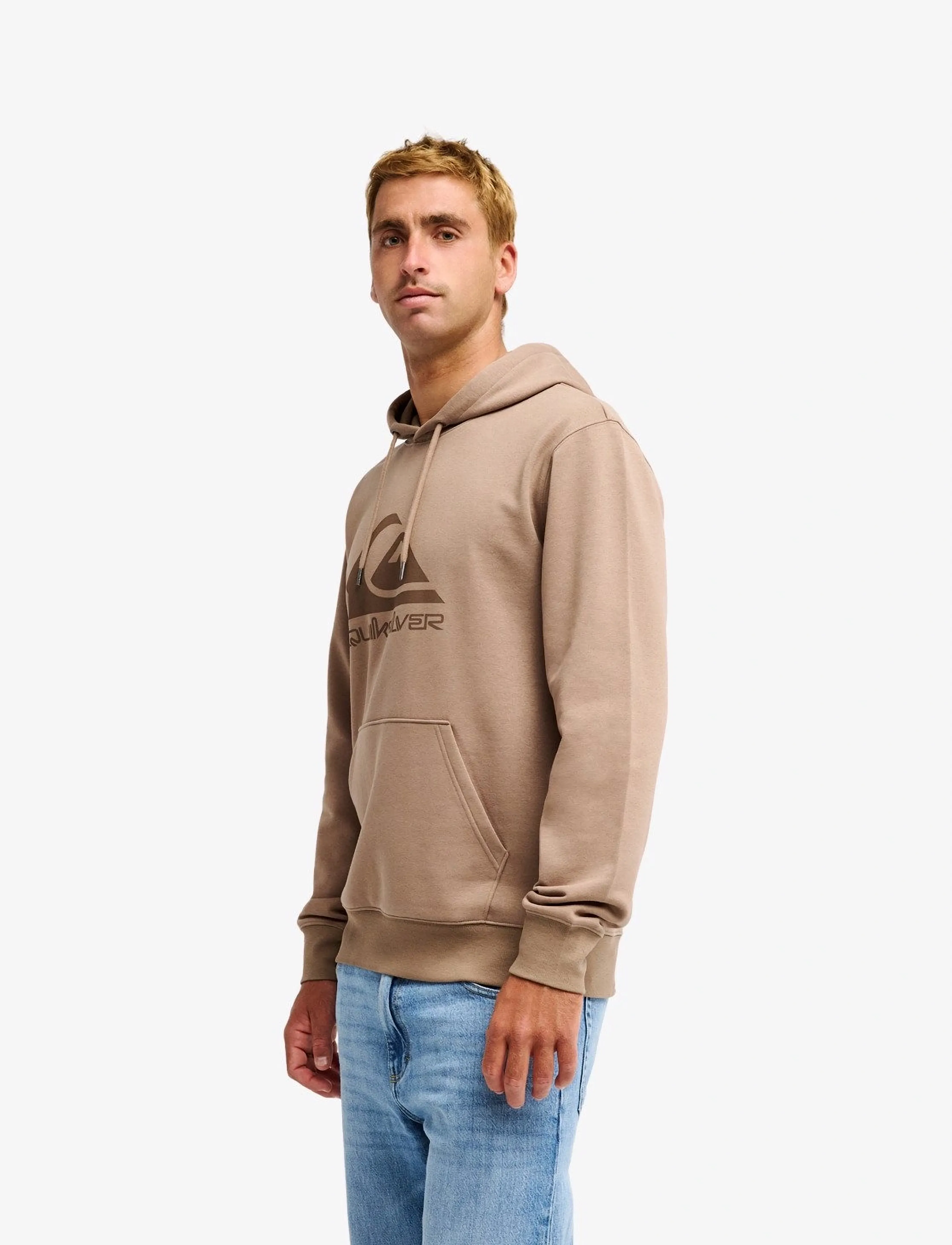Quiksilver - COMP LOGO HOODIE - sweatshirts - pine bark - 4