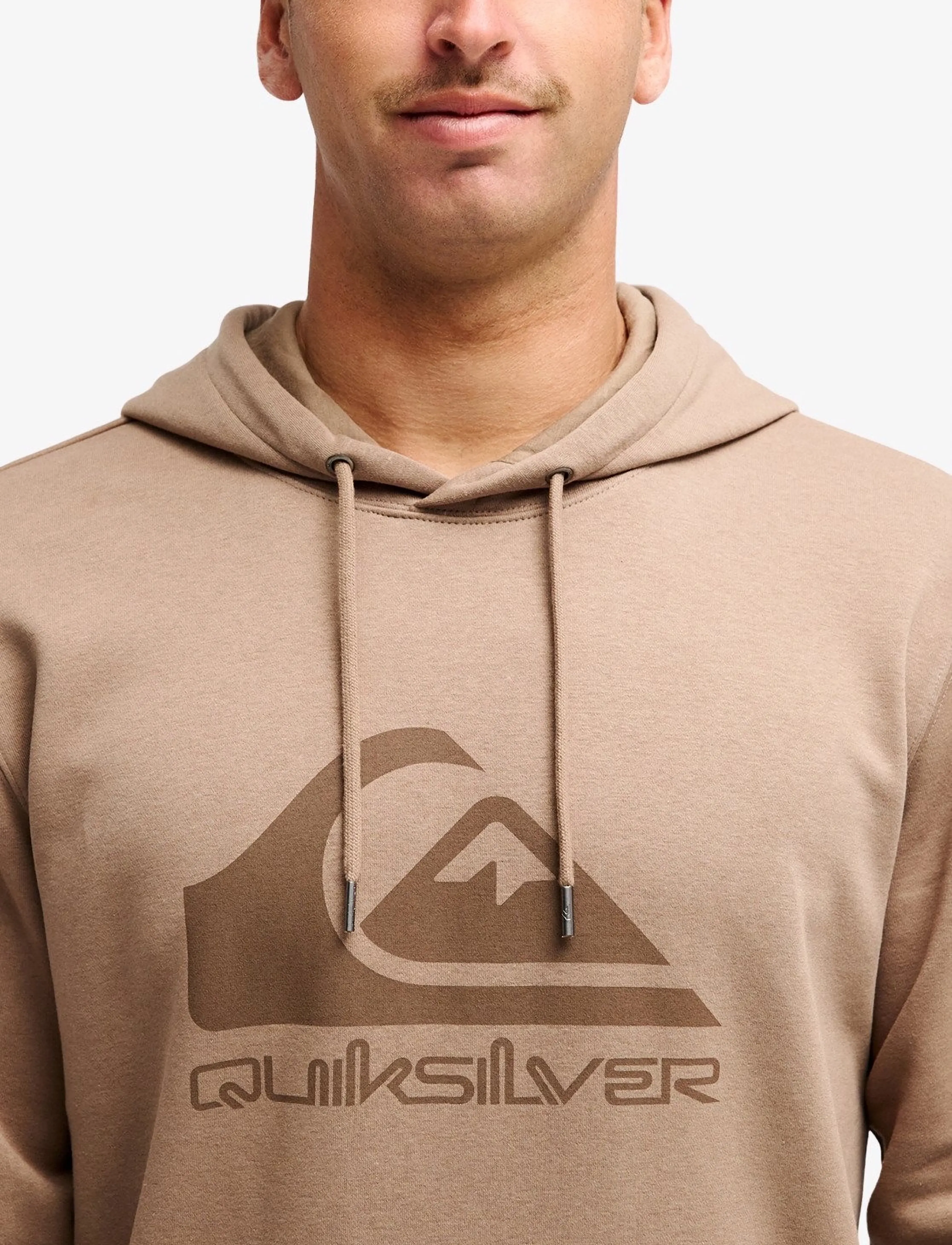 Quiksilver - COMP LOGO HOODIE - sweatshirts - pine bark - 5