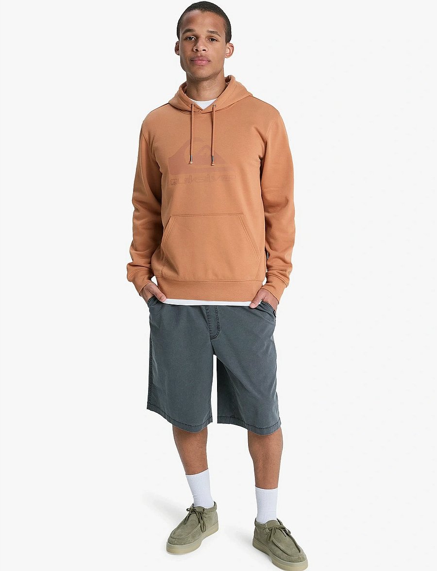 Quiksilver - COMP LOGO HOODIE - sweatshirts - tobacco brown - 4