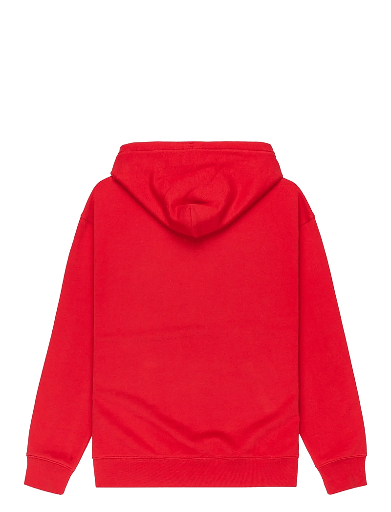 Quiksilver - DNA HOODIE - pulls a capuche - salsa - 2