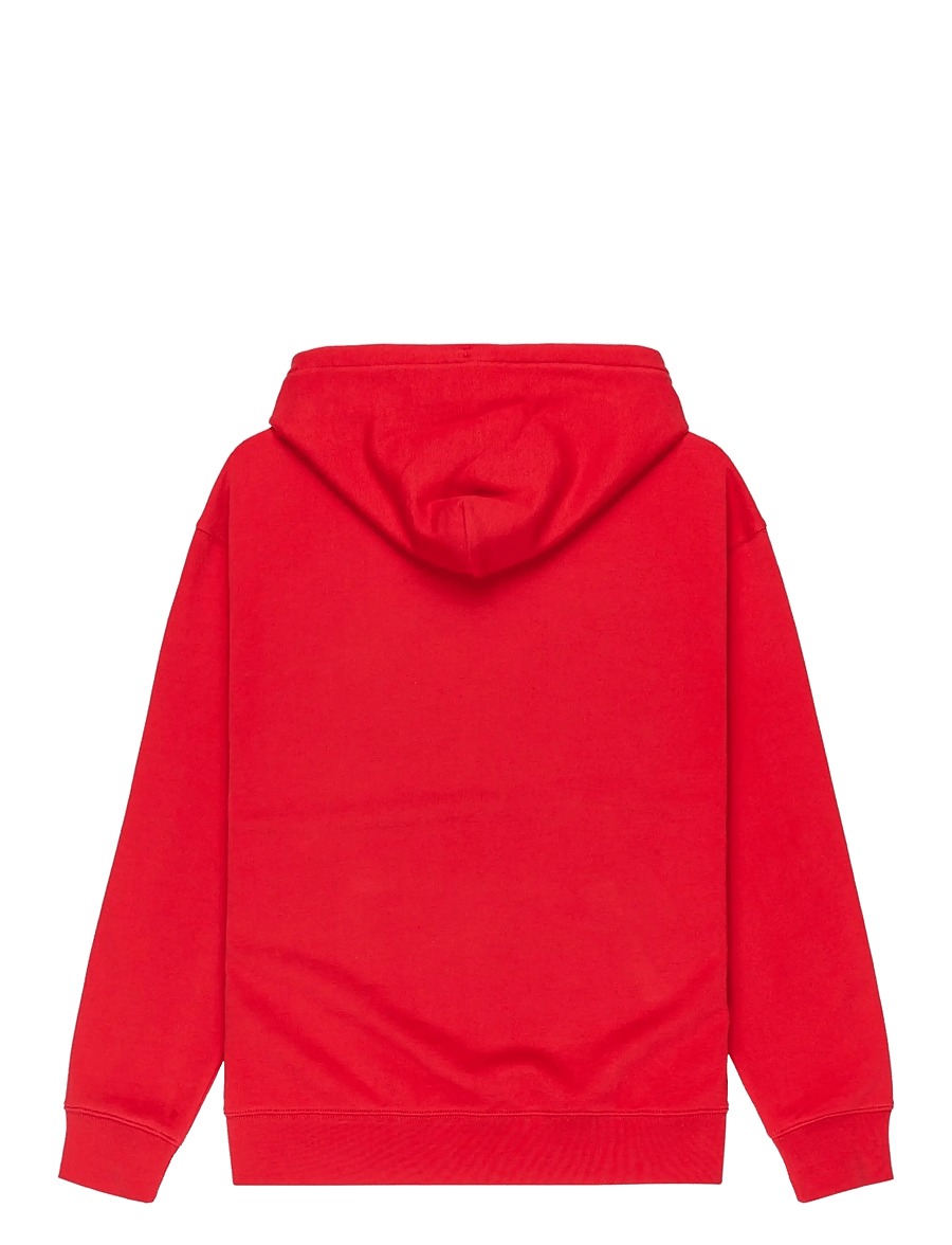 Quiksilver - DNA HOODIE - oberteile - salsa - 2