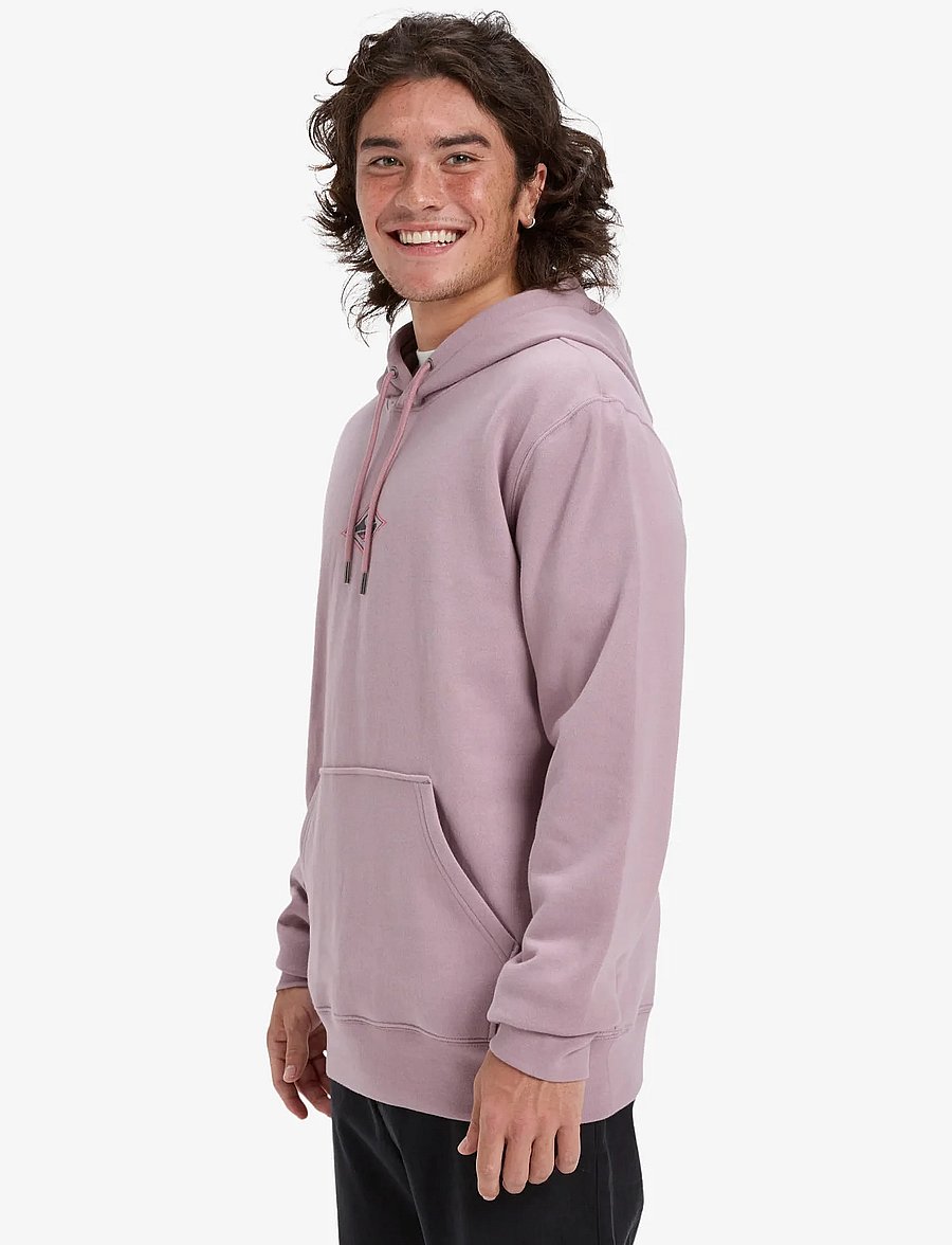 Quiksilver - GRAPHIC HOODIE - huvtröjor - elderberry - 5