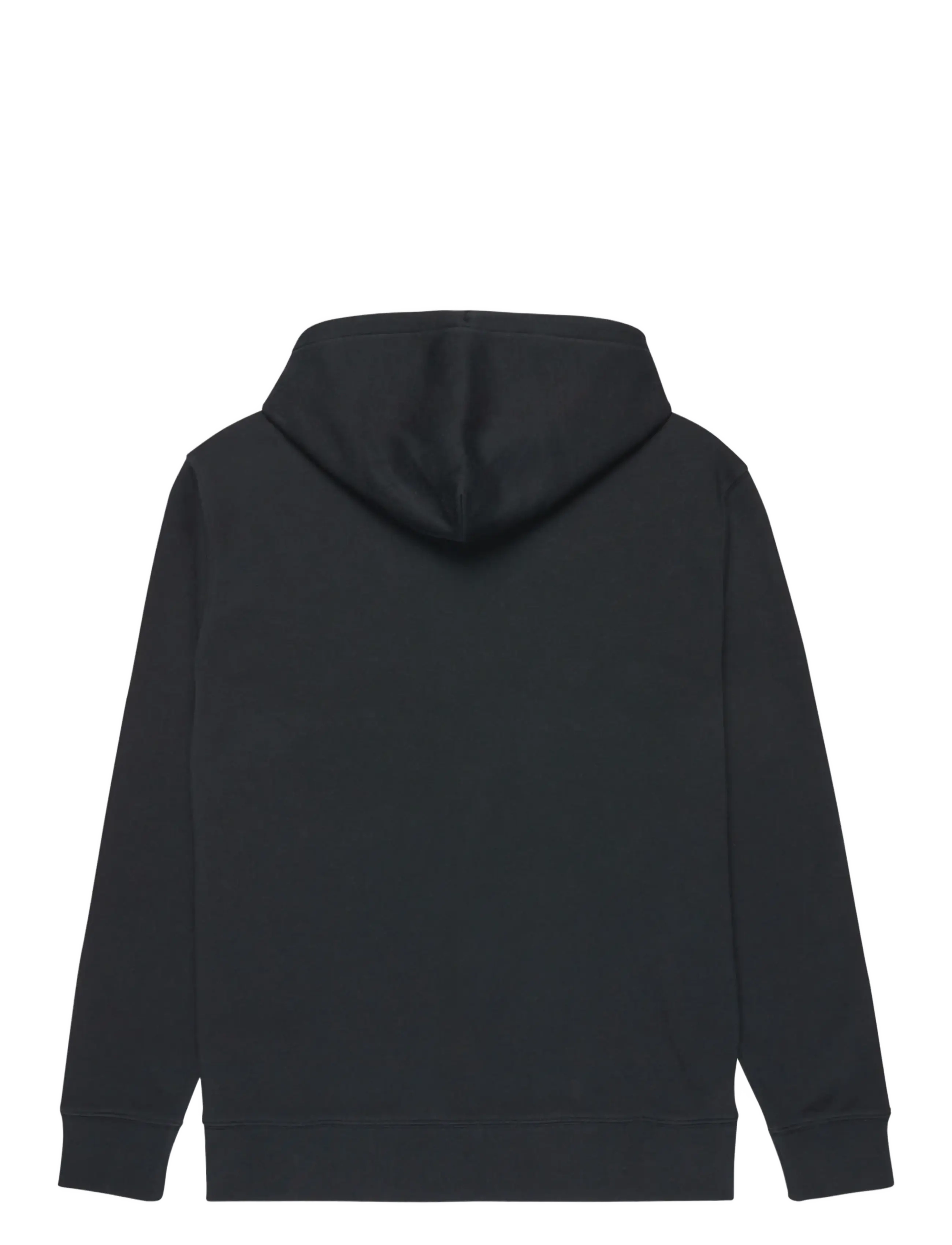 Quiksilver - SALT WATER HOODIE - overdele - black - 2