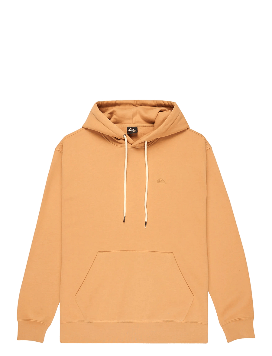 Quiksilver - SALT WATER HOODIE - overdele - khaki - 1