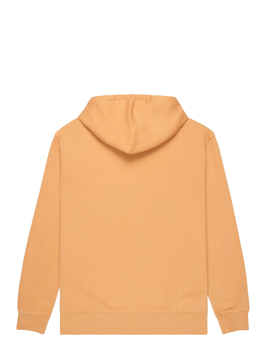 Quiksilver - SALT WATER HOODIE - overdele - khaki - 2