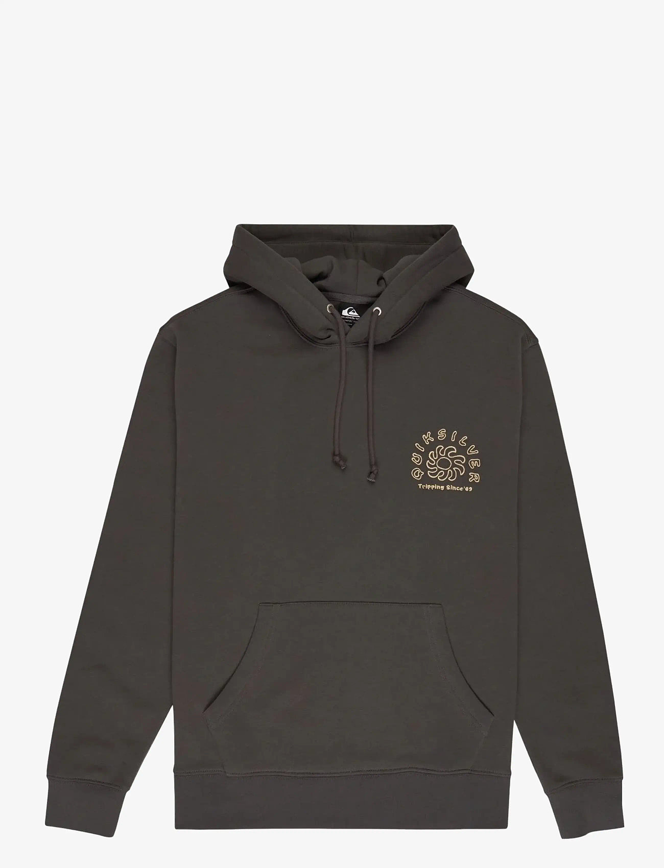 Quiksilver - SALT WATER GRAPHIC HOODIE - tops - iron gate - 1