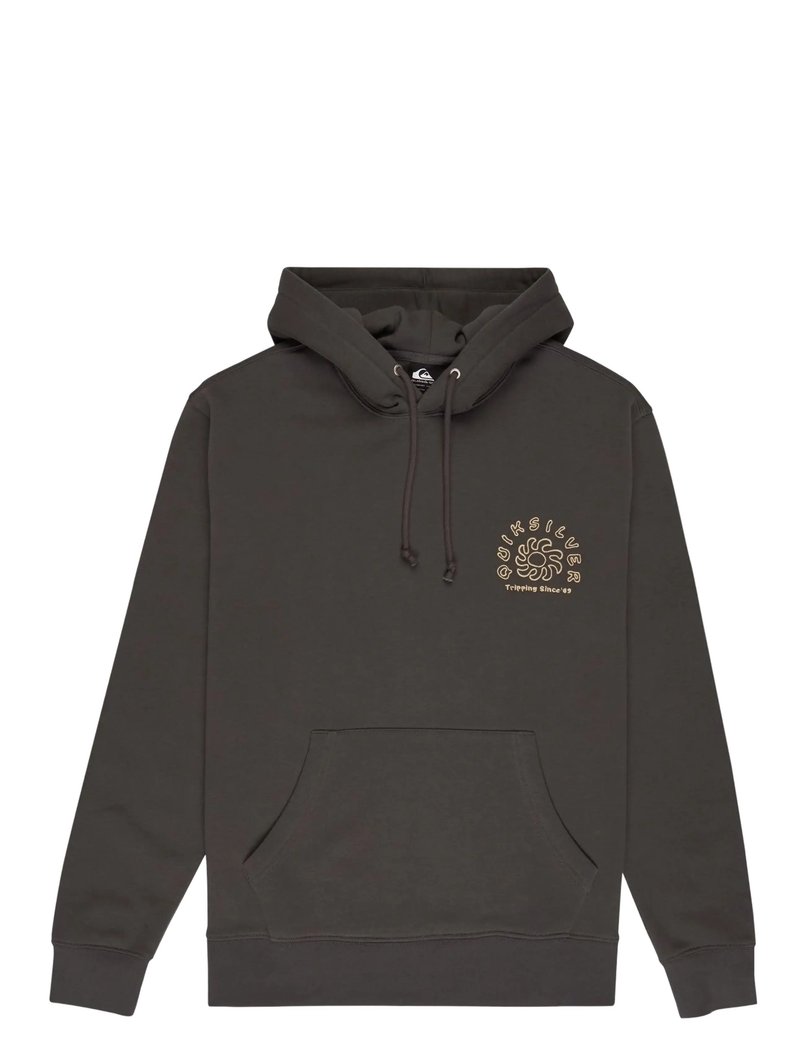 Quiksilver SALT WATER GRAPHIC HOODIE - Kapuzenpullover - IRON GATE / grey